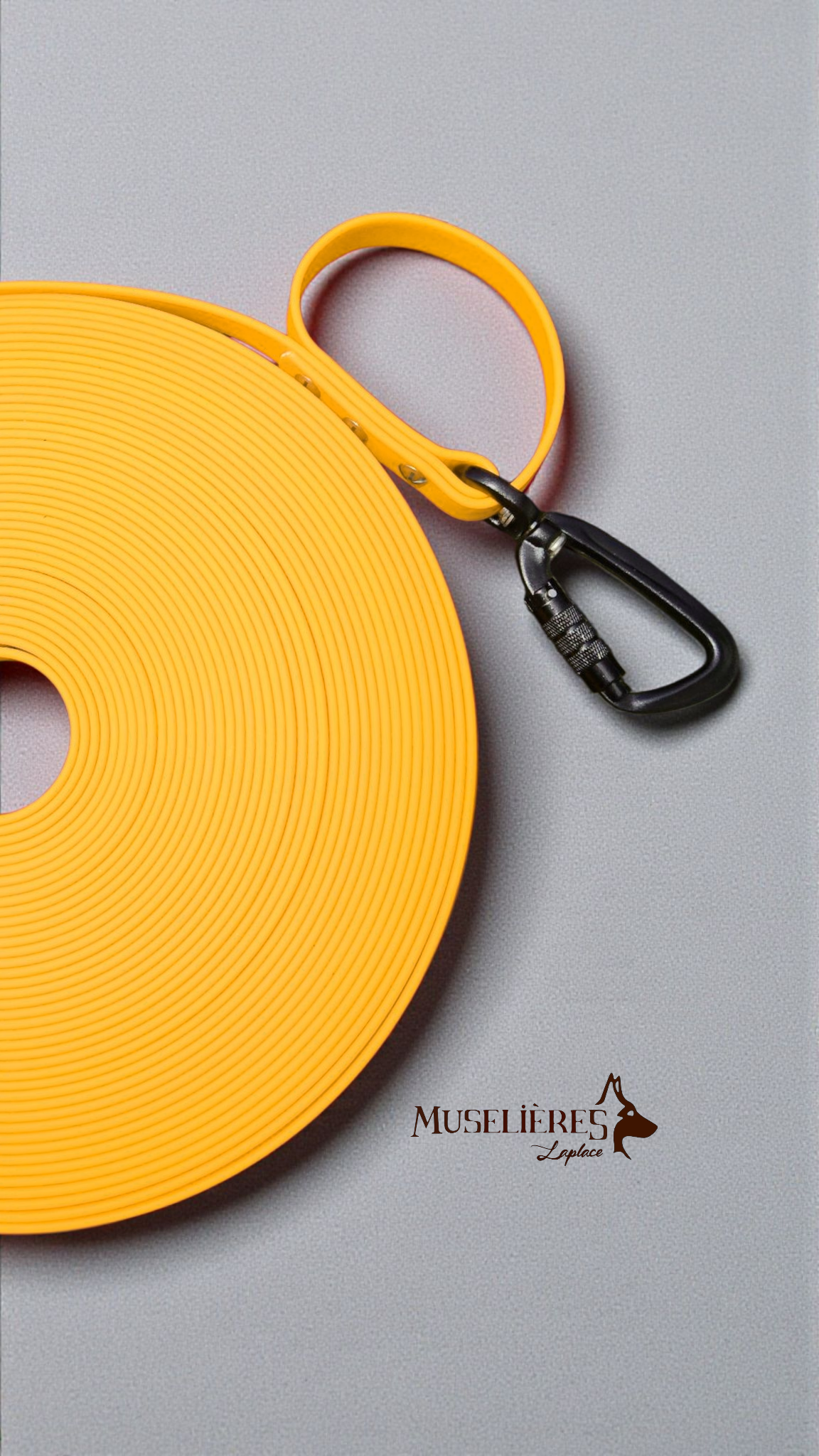 Laisses, longes et poignées