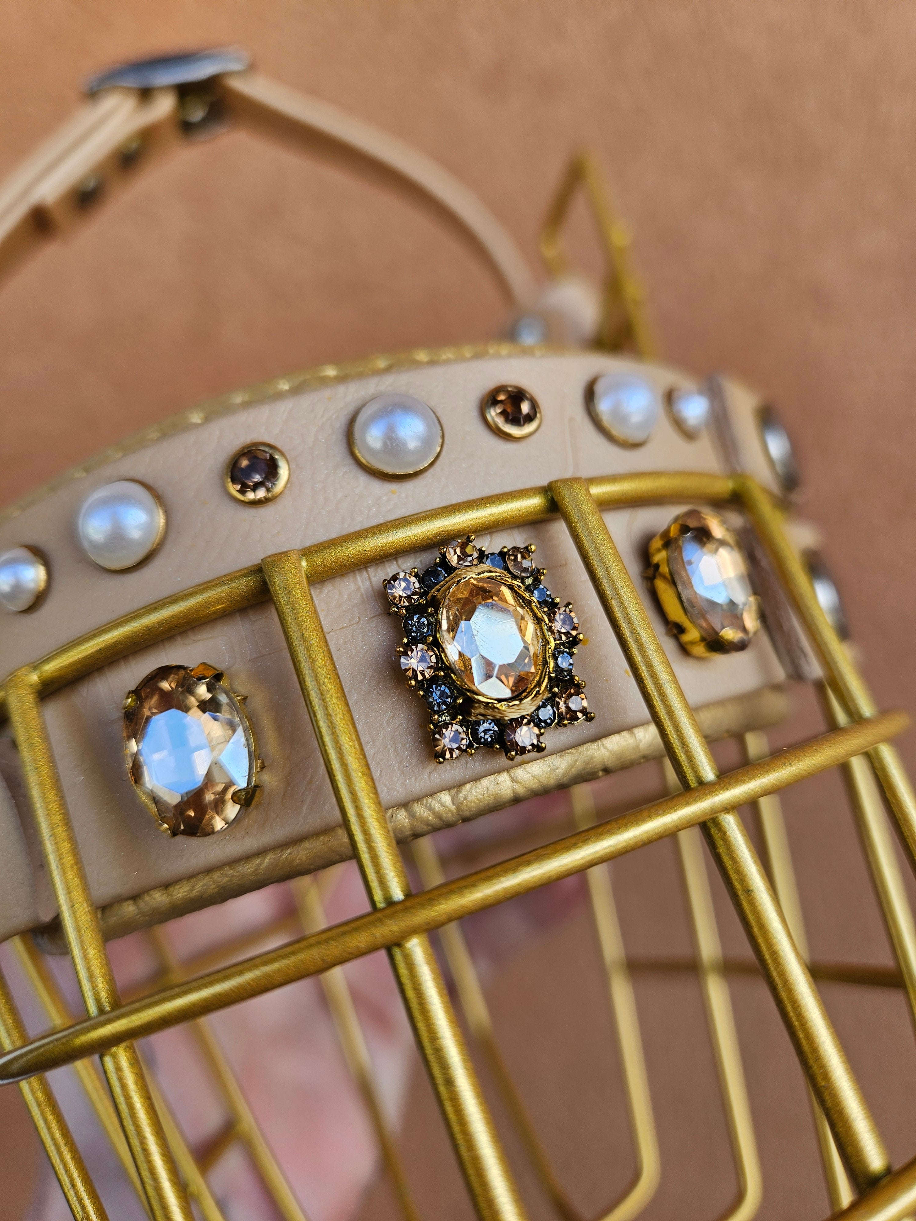 Muselière Premium X Régalys