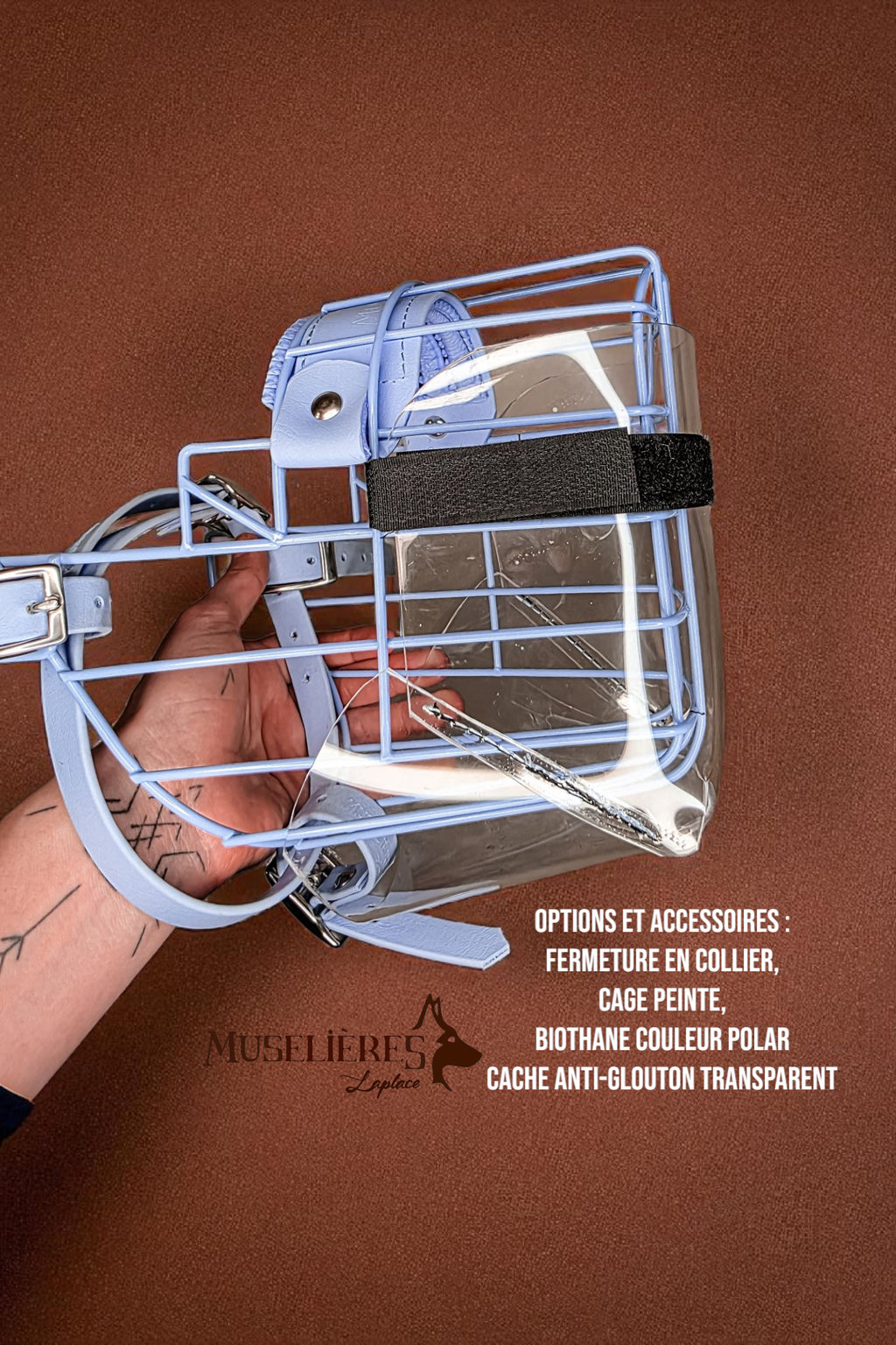 Cache anti glouton transparent