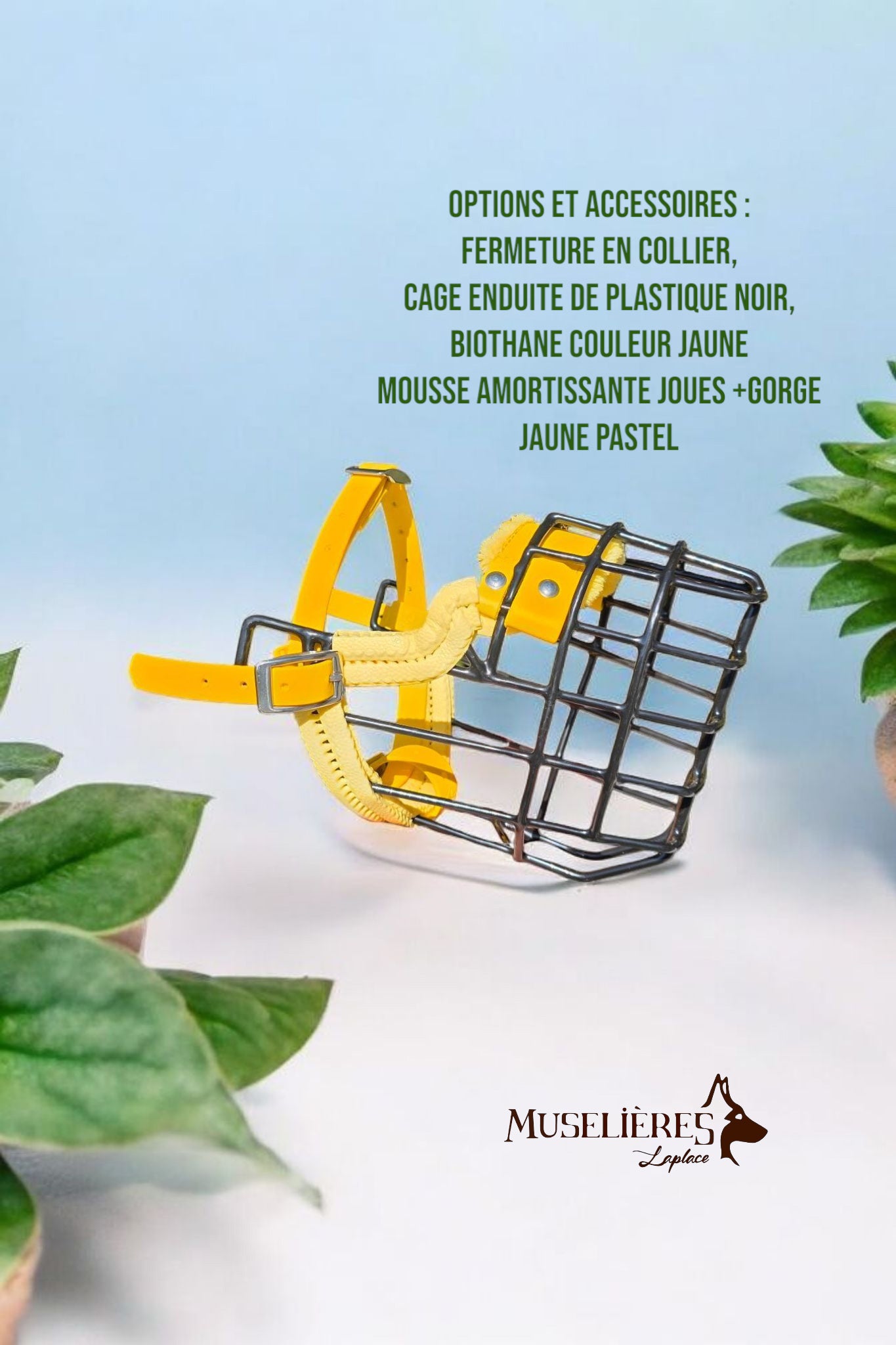 Le forfait muselière !