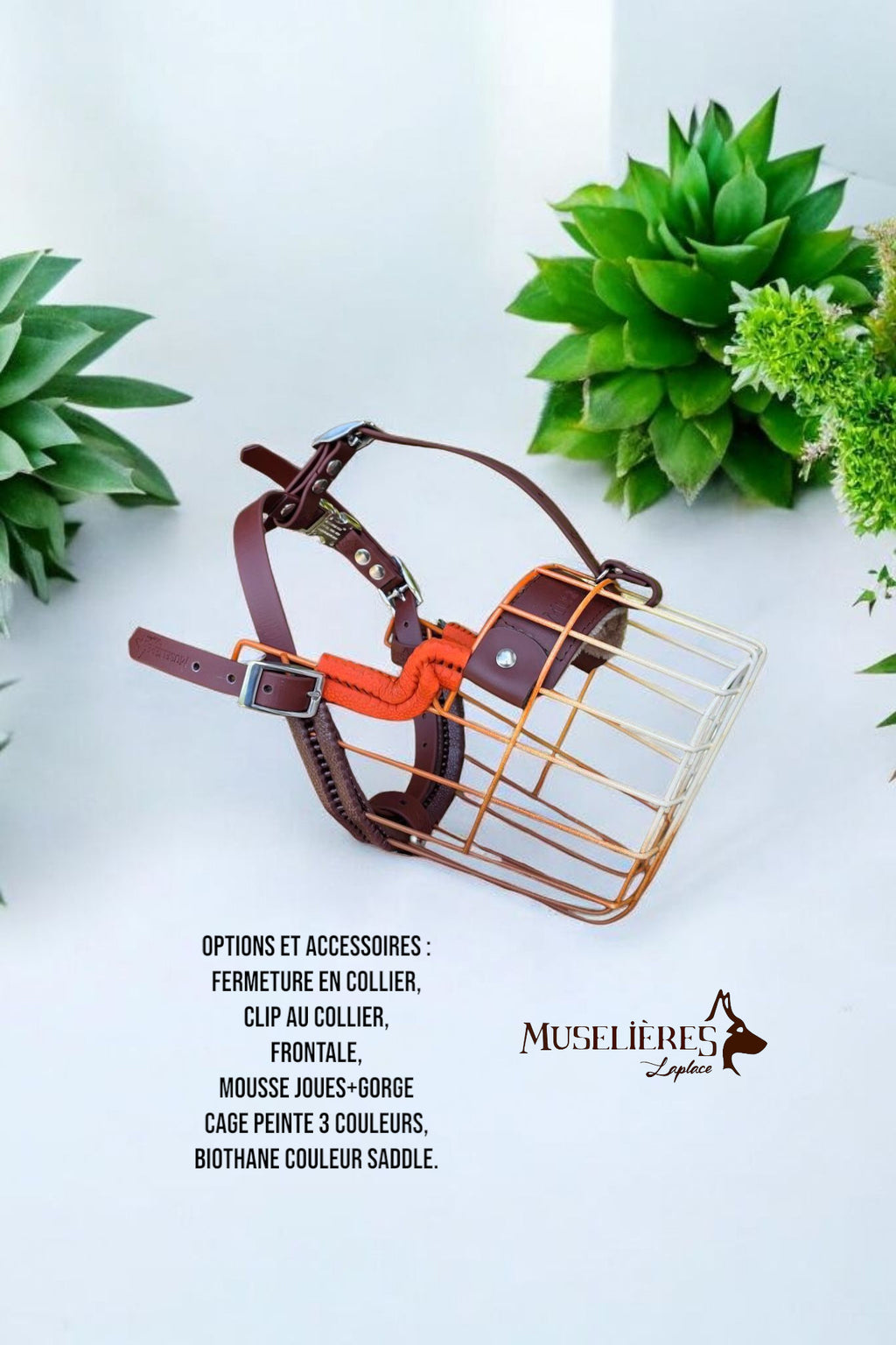 Le forfait muselière !