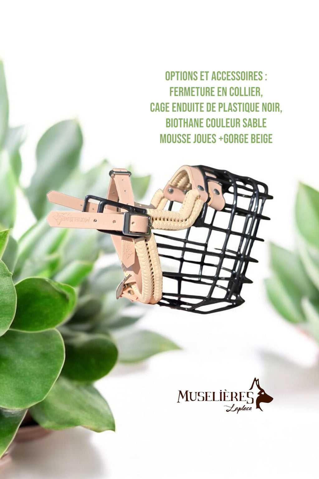 Le forfait muselière !