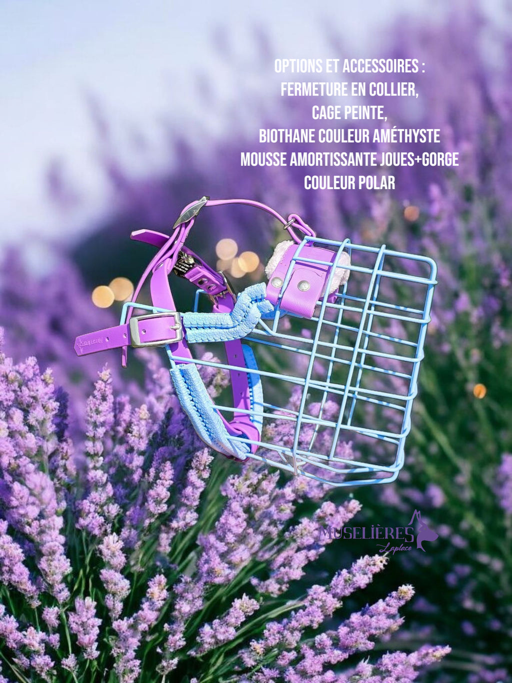 Le forfait muselière !