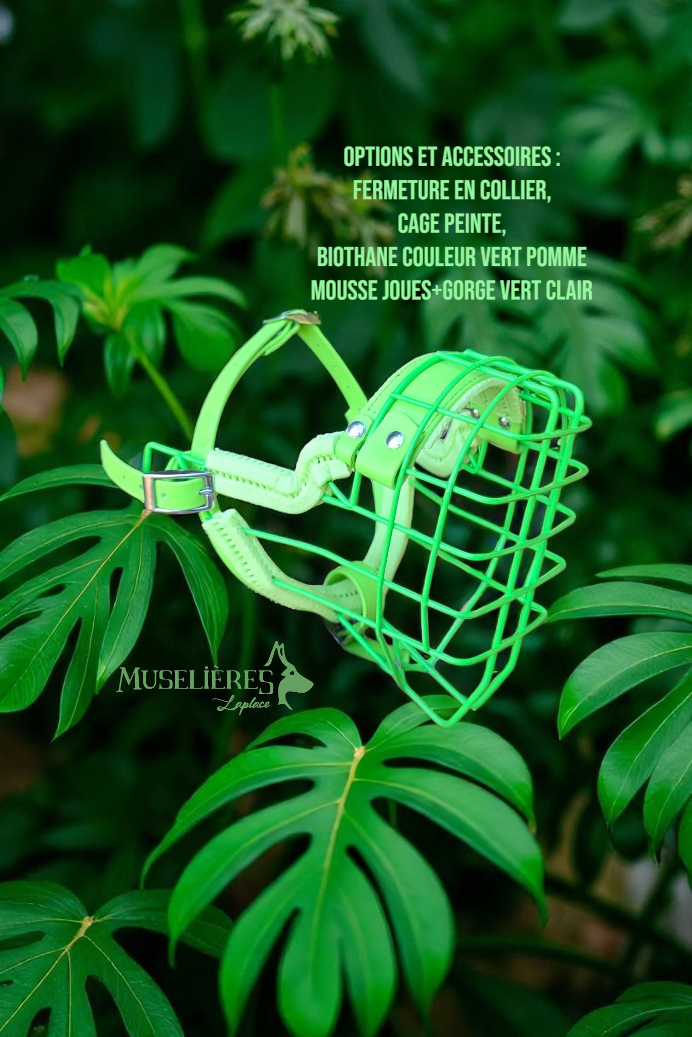 Le forfait muselière !