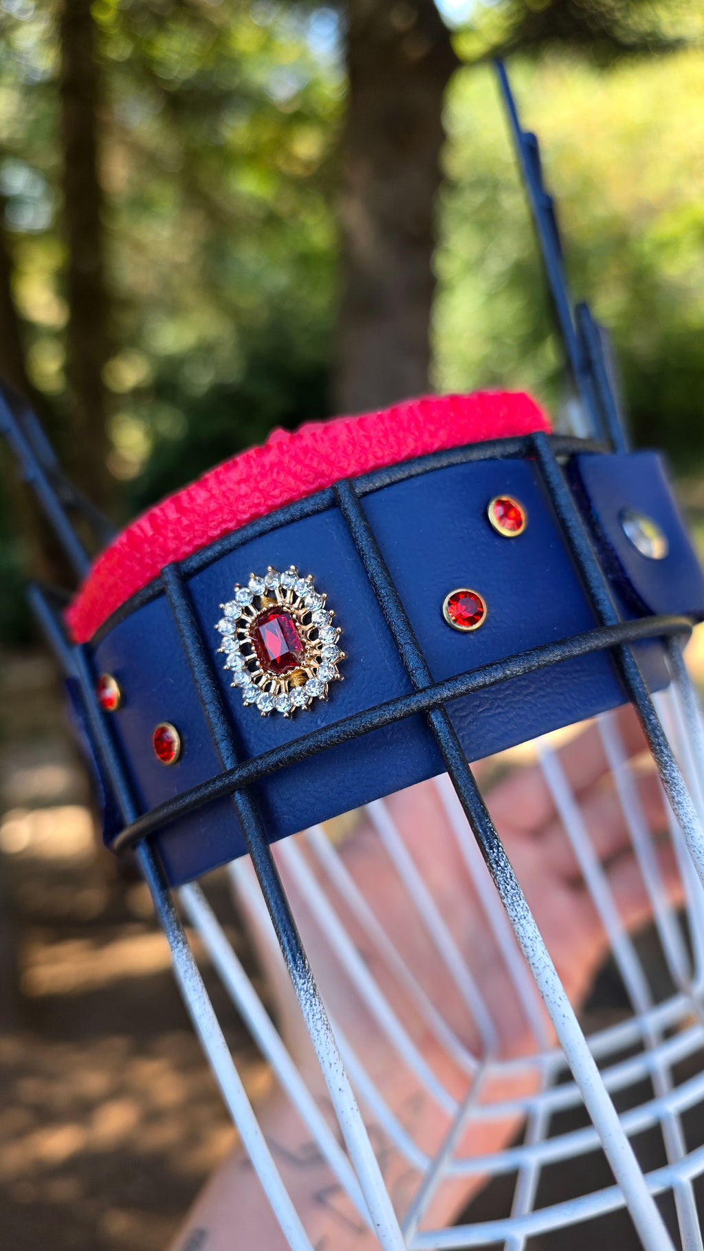 Muselière Premium X Régalys