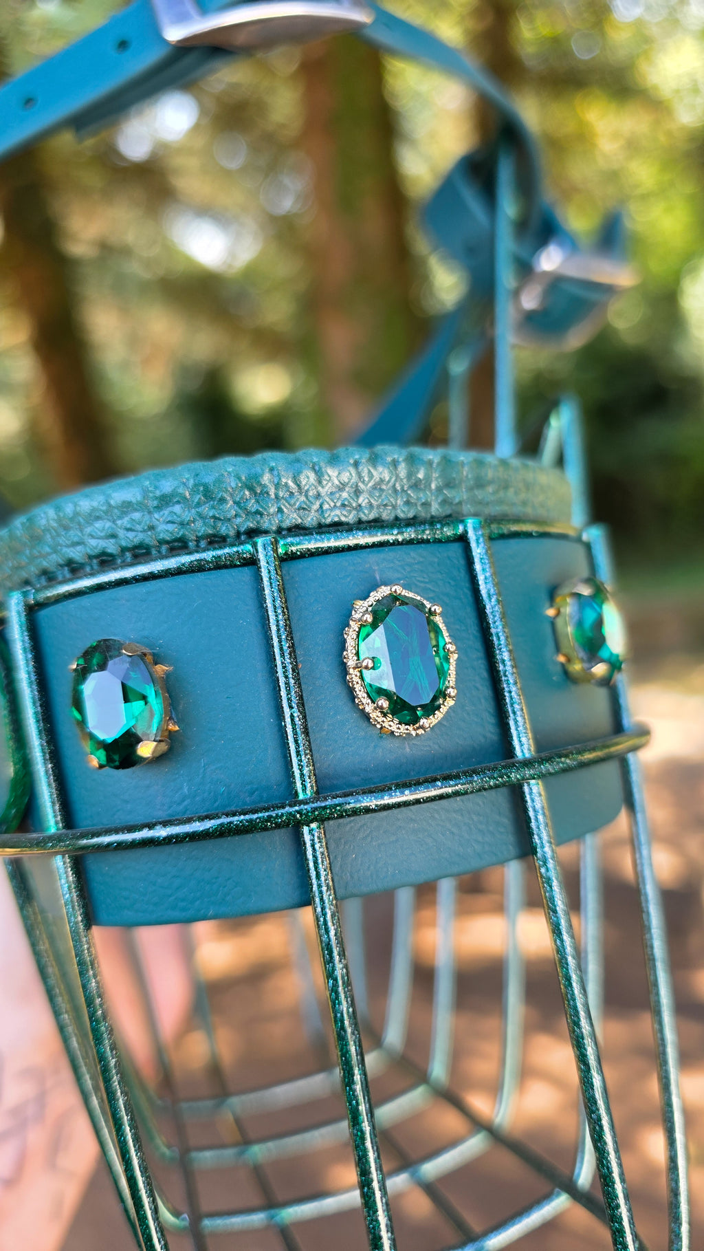 Muselière Premium X Régalys