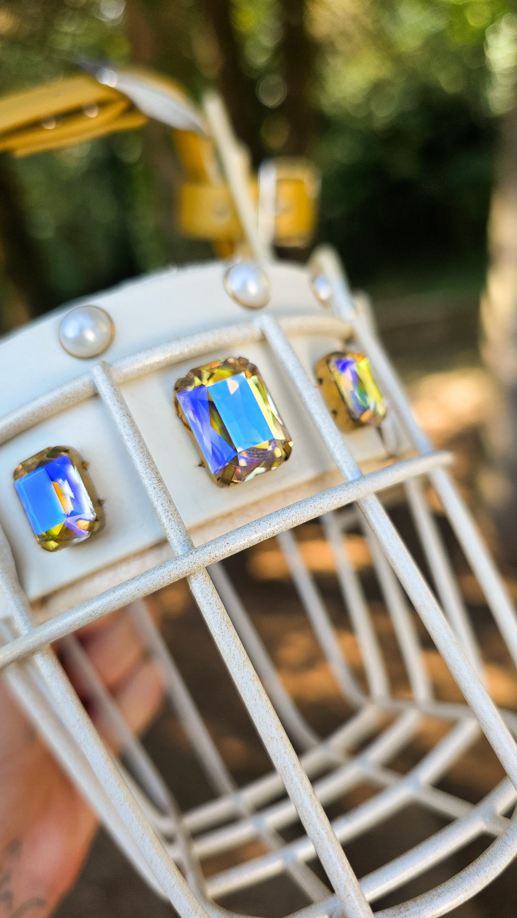 Muselière Premium X Régalys