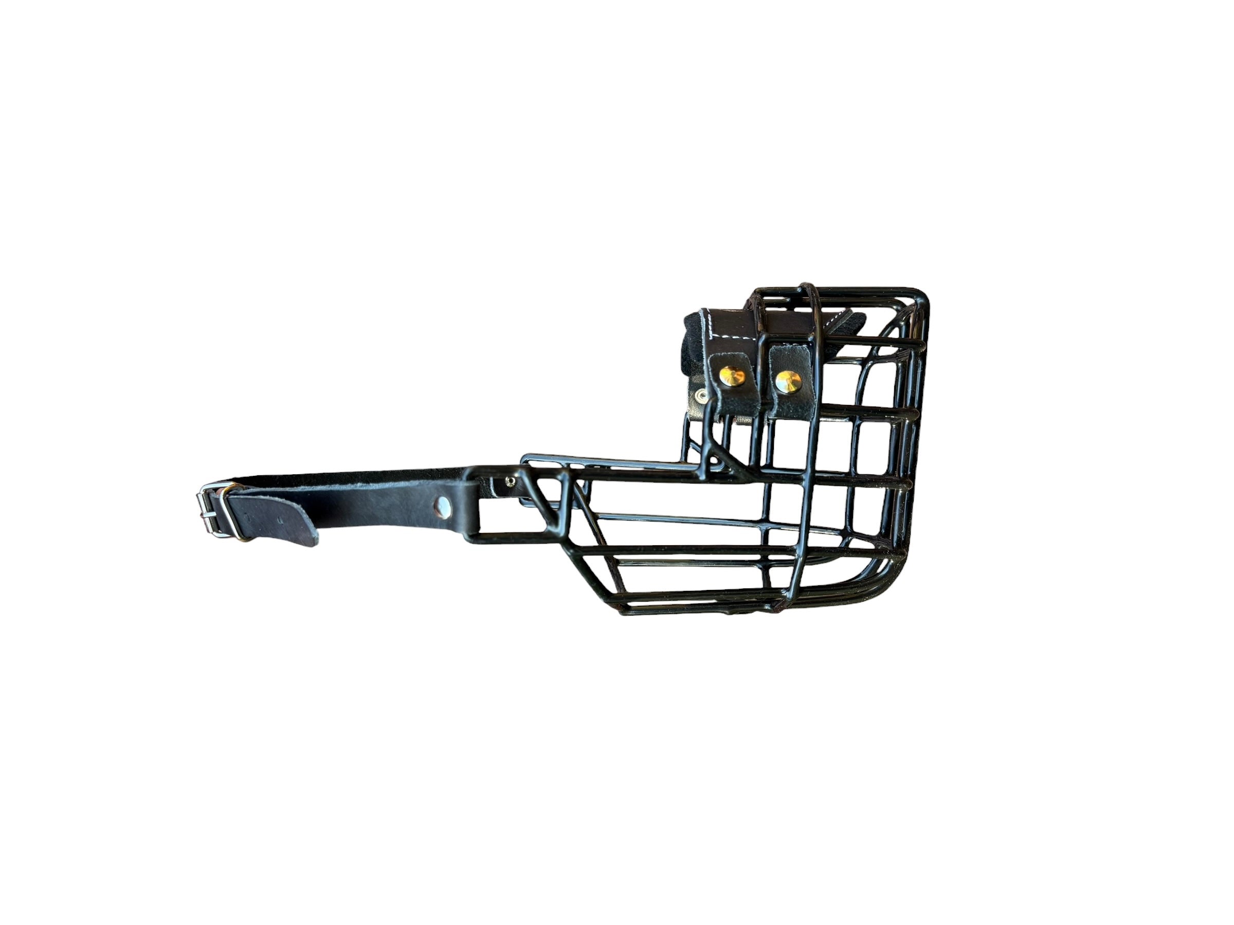 Muselière standard T12 Cuir enduite