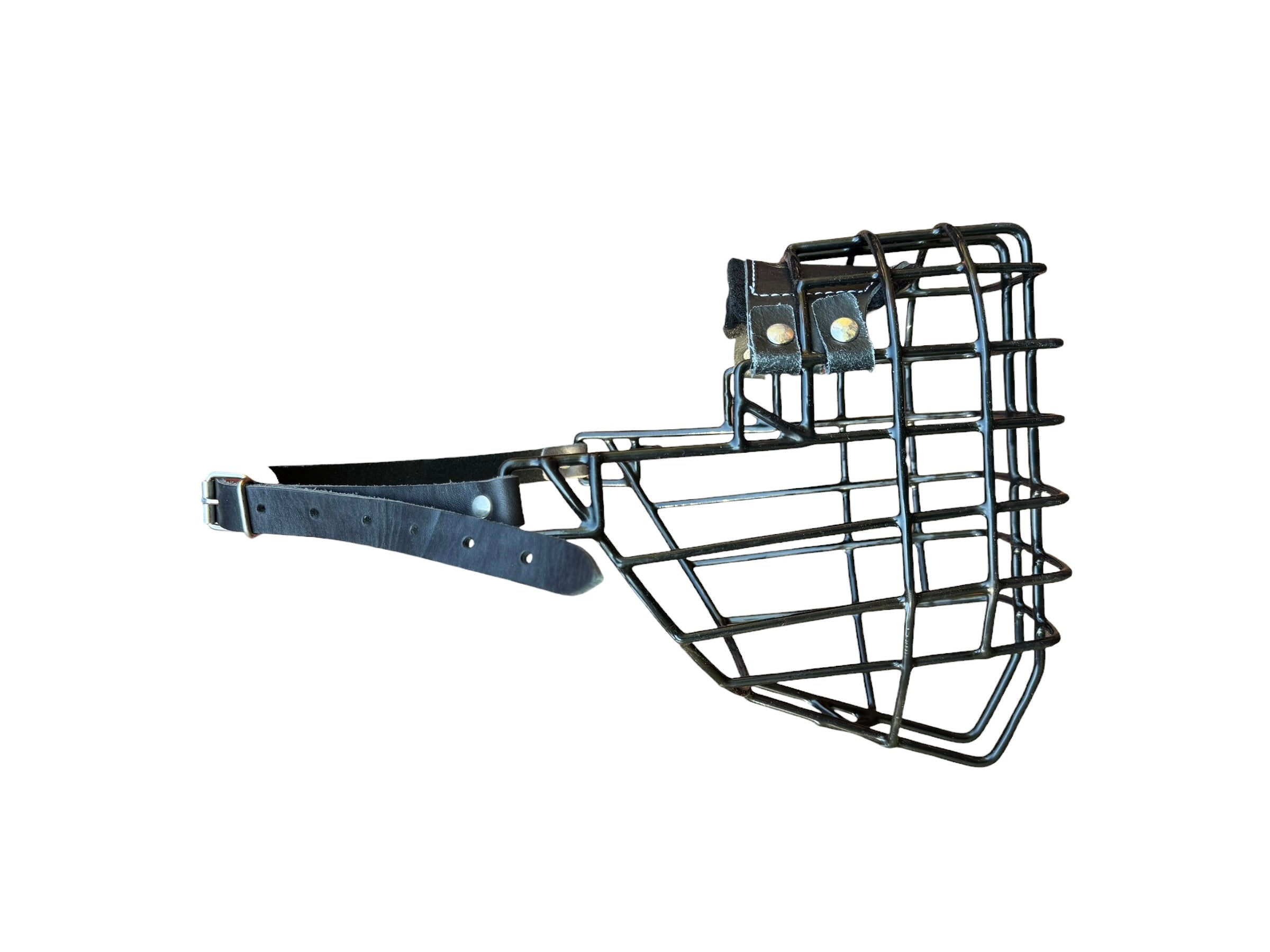 Muselière standard T18 Cuir enduite