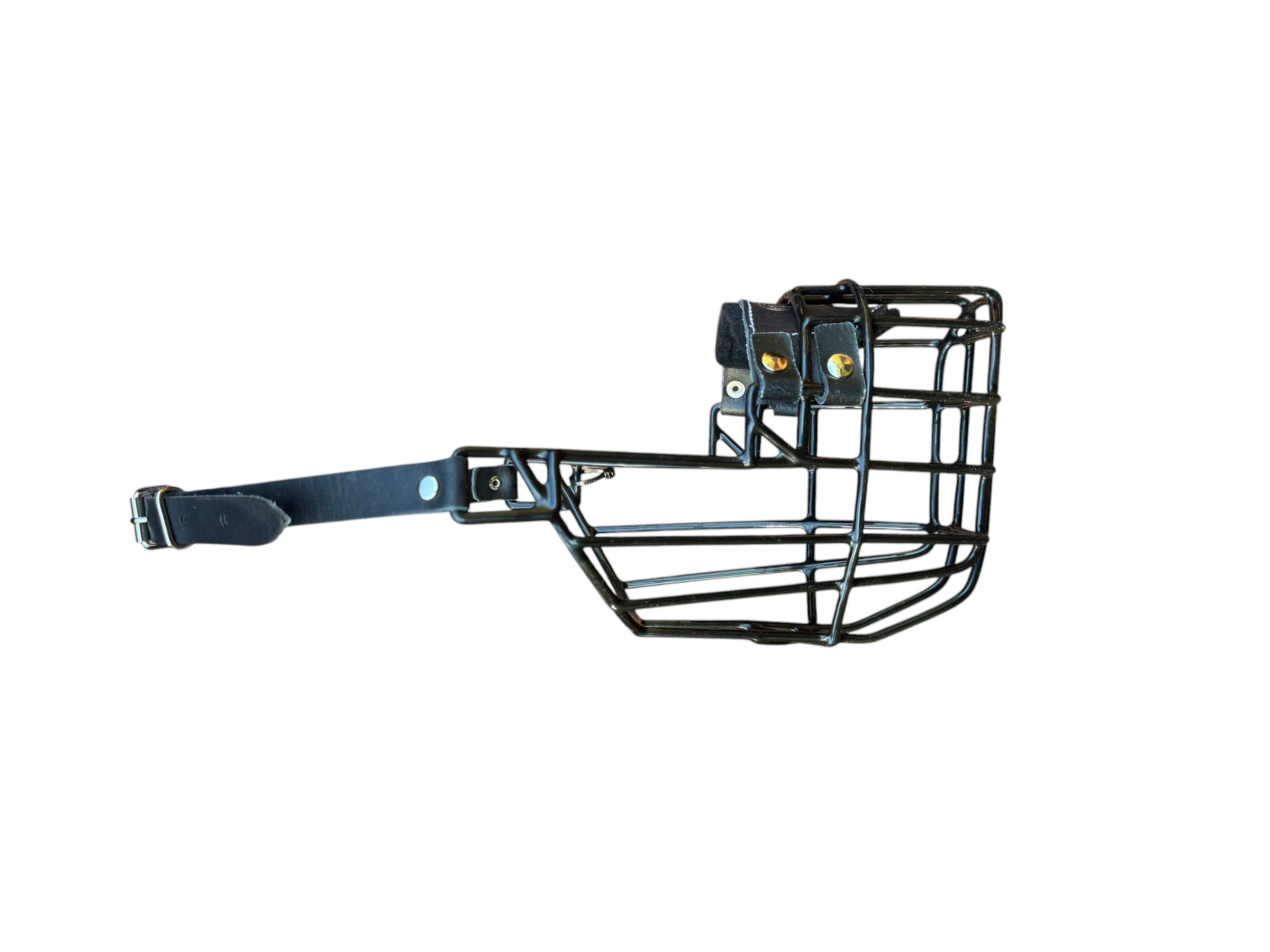 Muselière standard T5 Cuir enduite