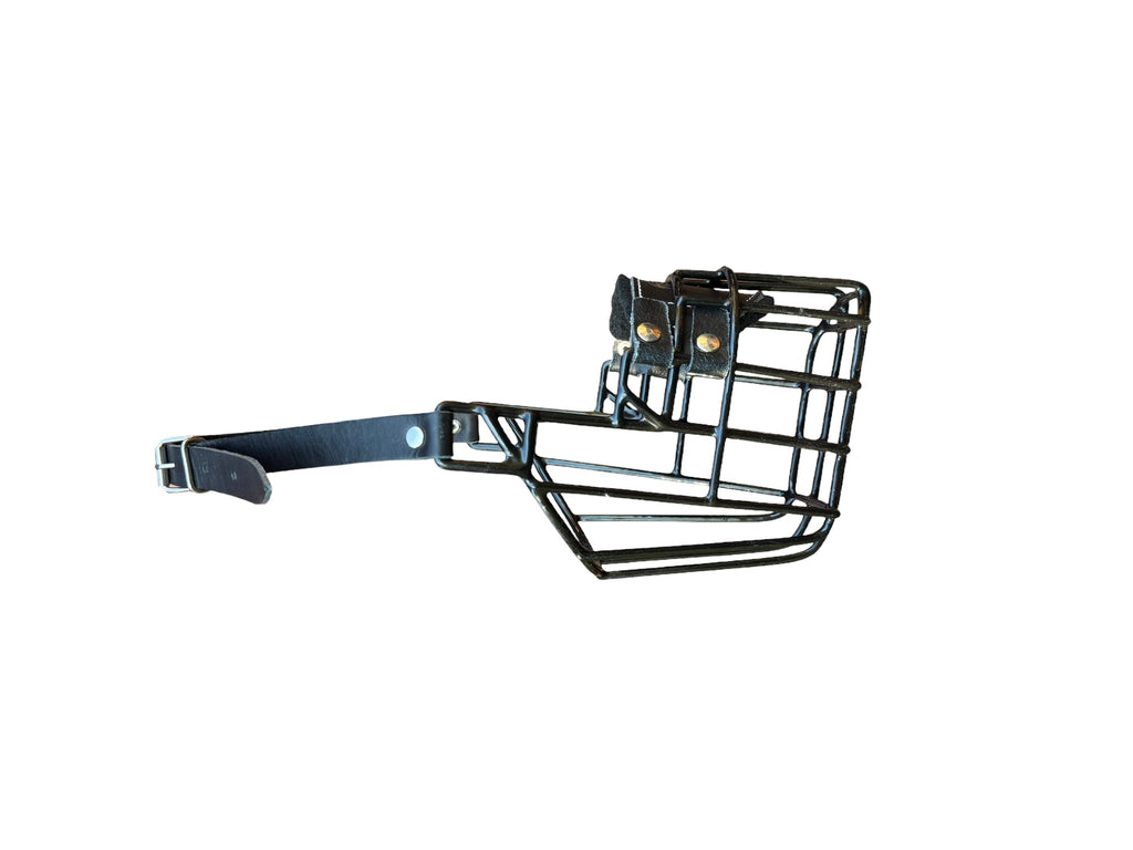 Muselière standard T3 Cuir enduite