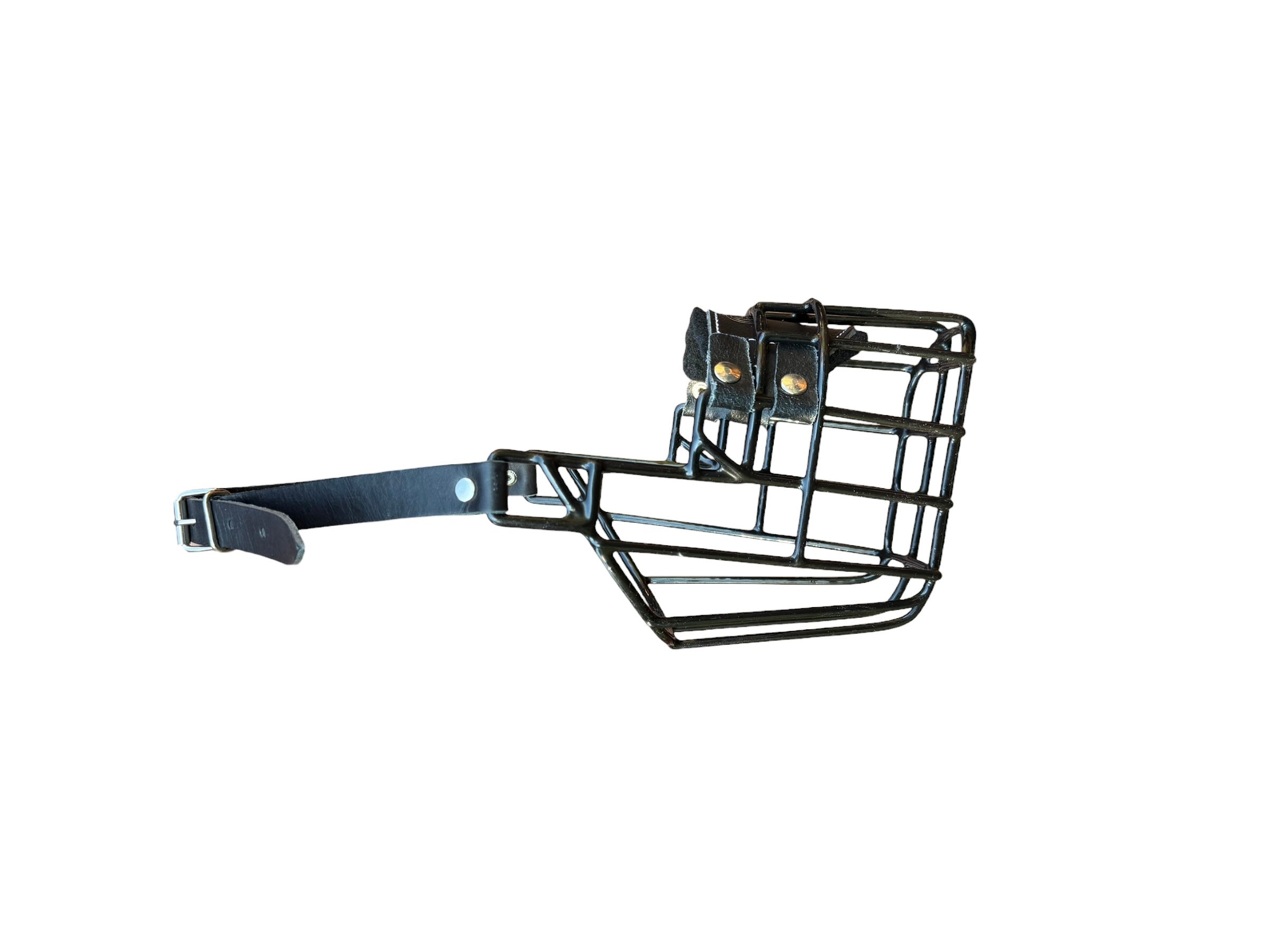 Muselière standard T3 Cuir enduite