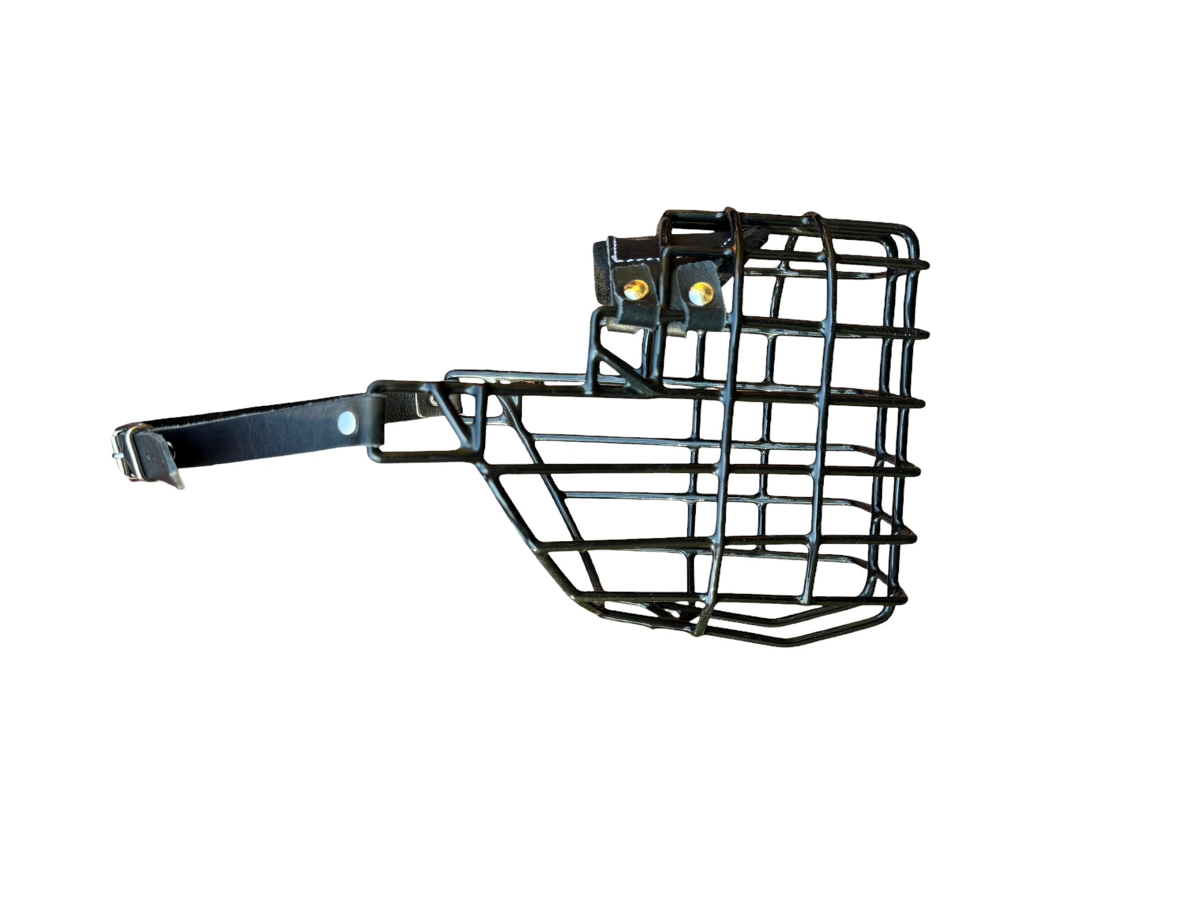 Muselière standard T10 Cuir enduite