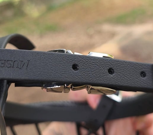 Clip rapide pour muselière