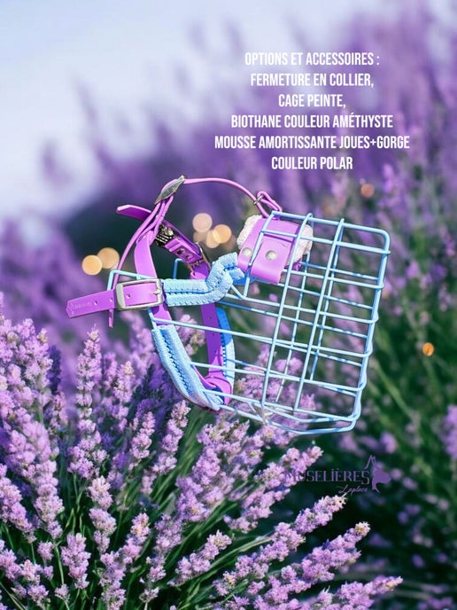 Clip rapide pour muselière