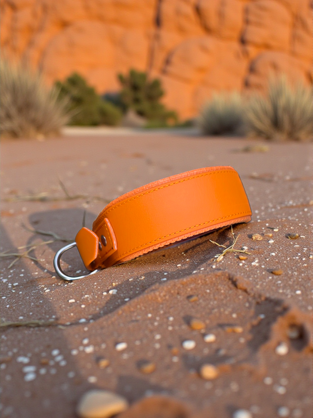 Collier plat avec mousse