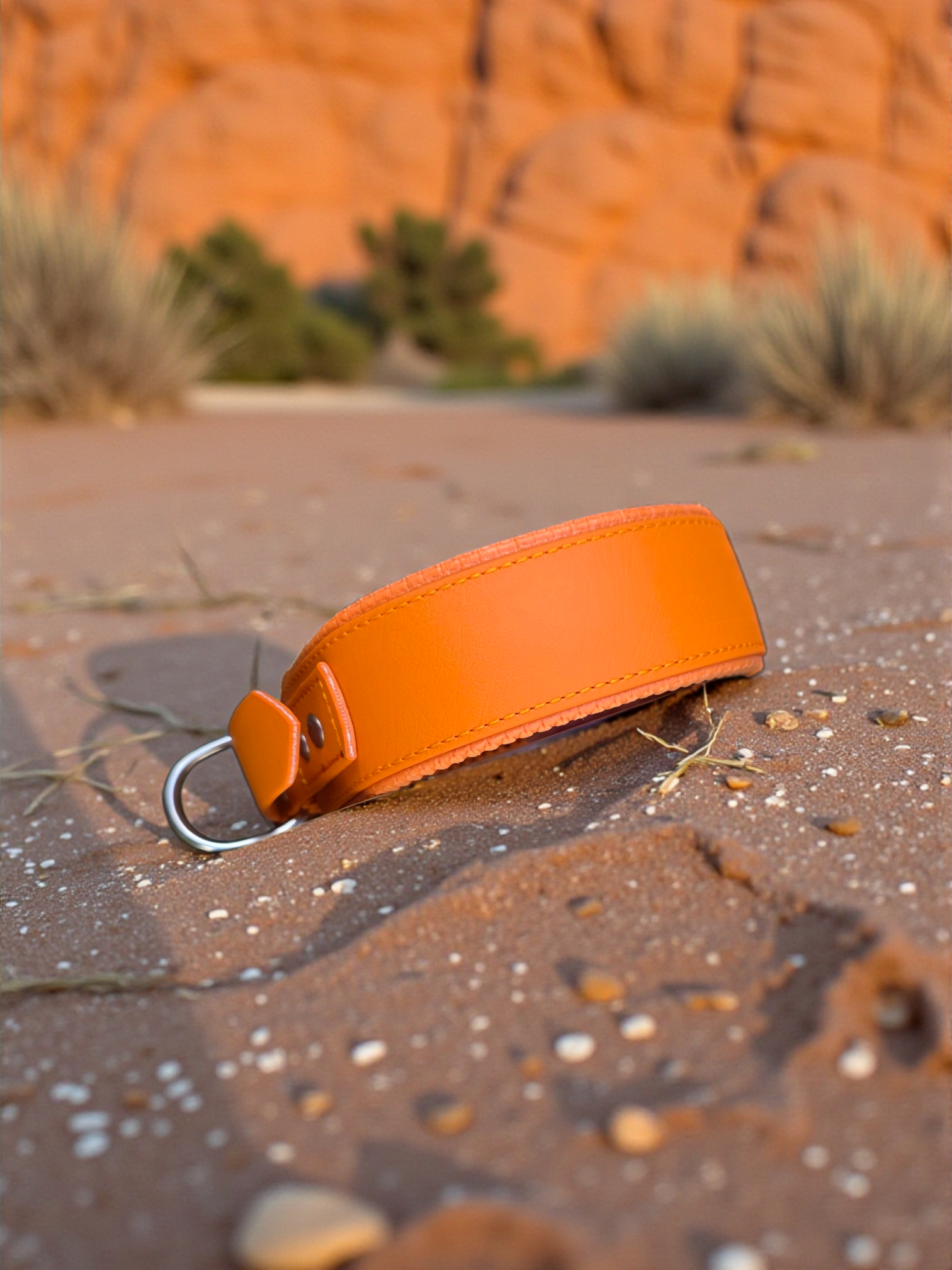 Collier plat avec mousse