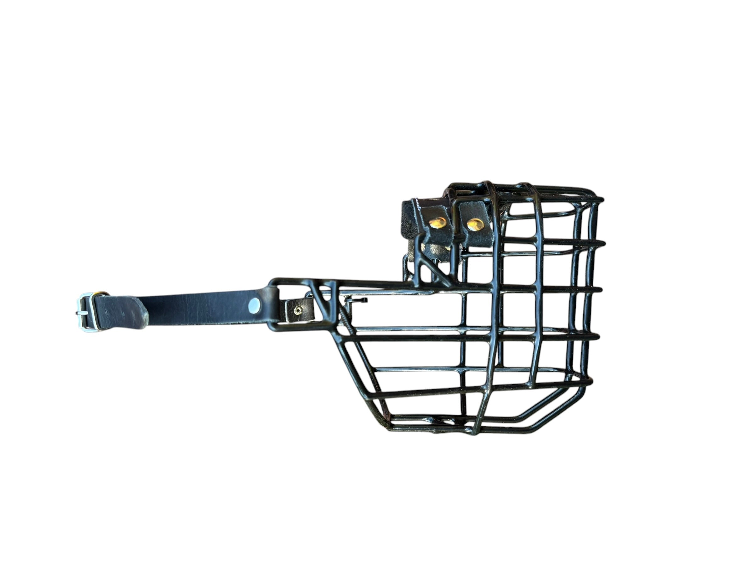 Muselière standard T7 Cuir enduite