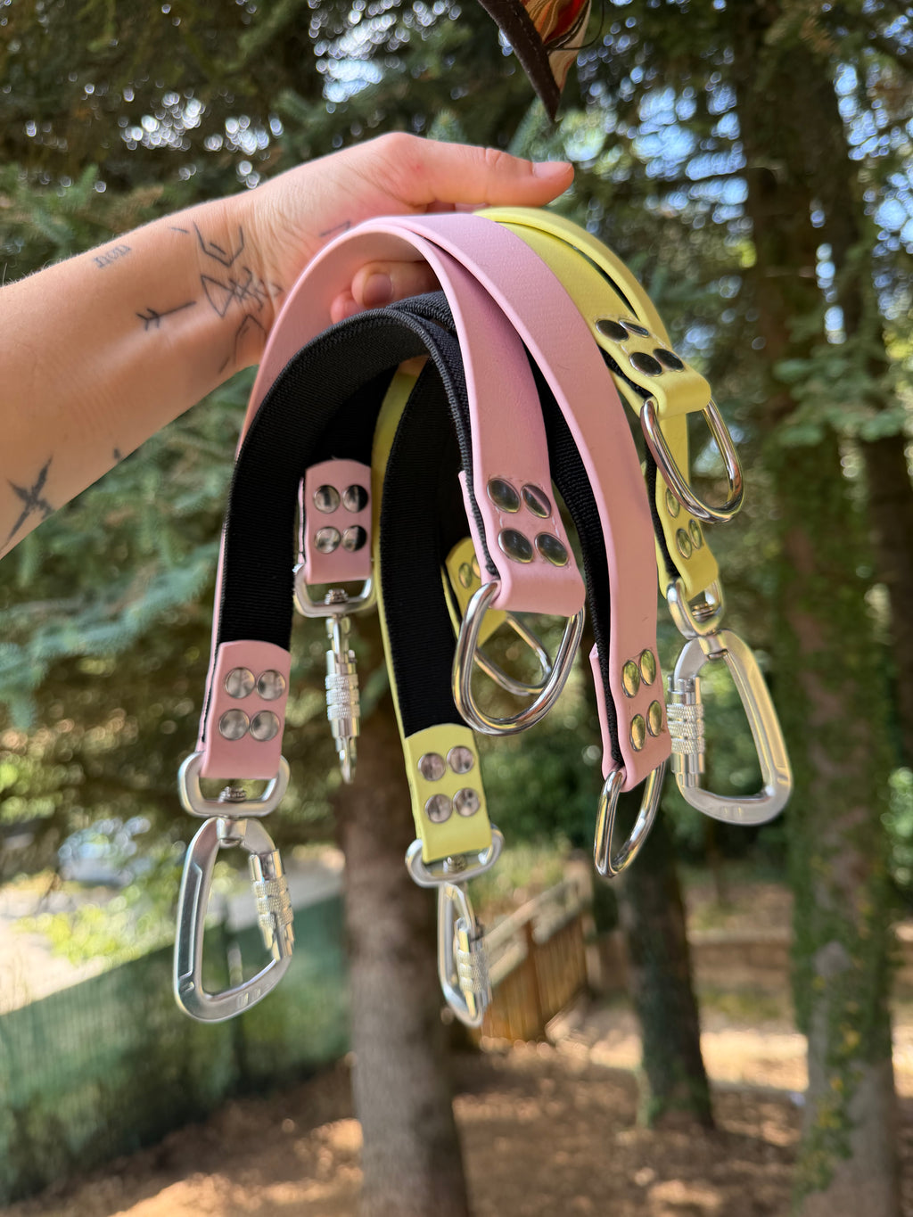 Rallonge de laisse élastique