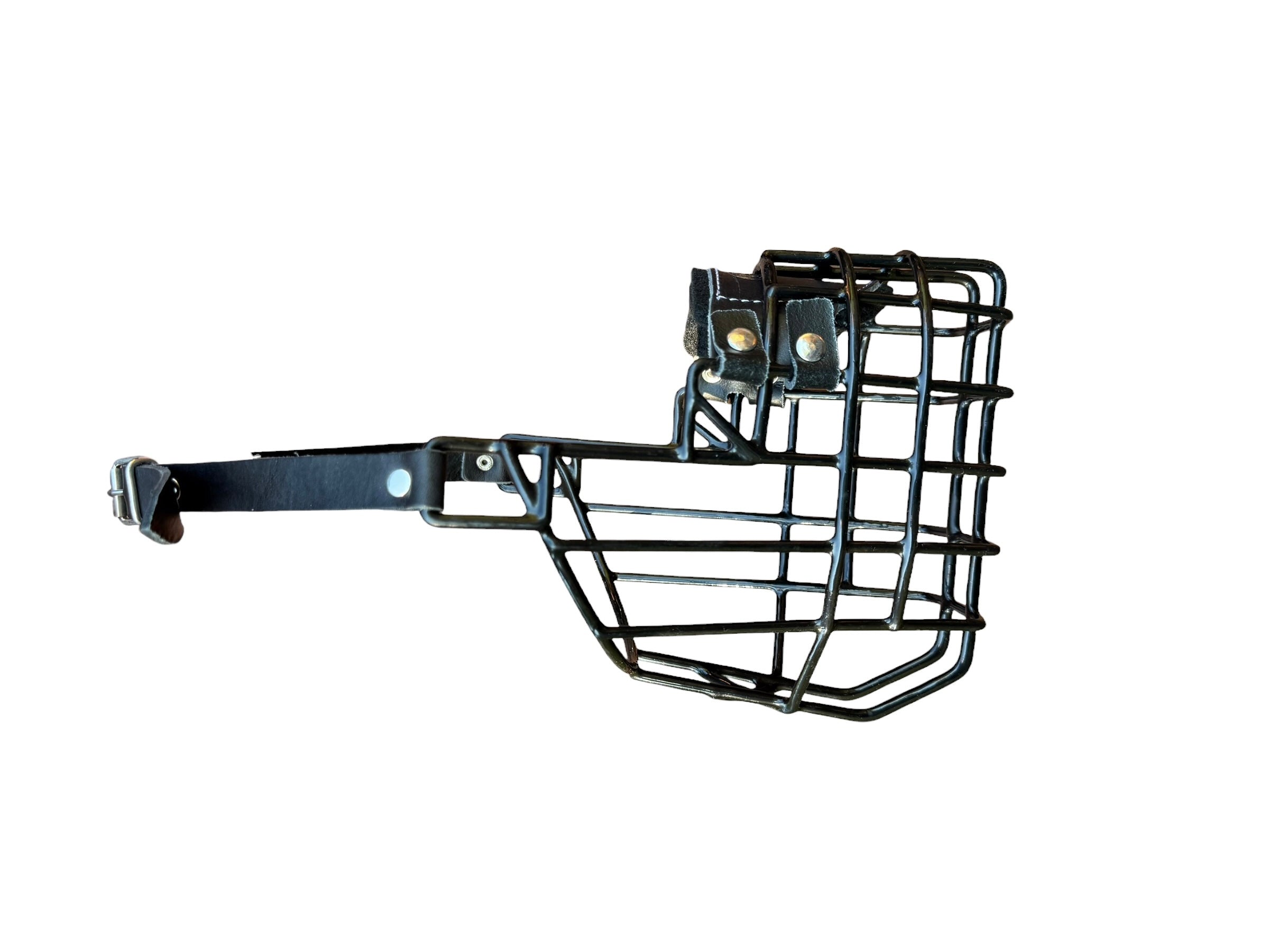 Muselière standard T9 Cuir enduite