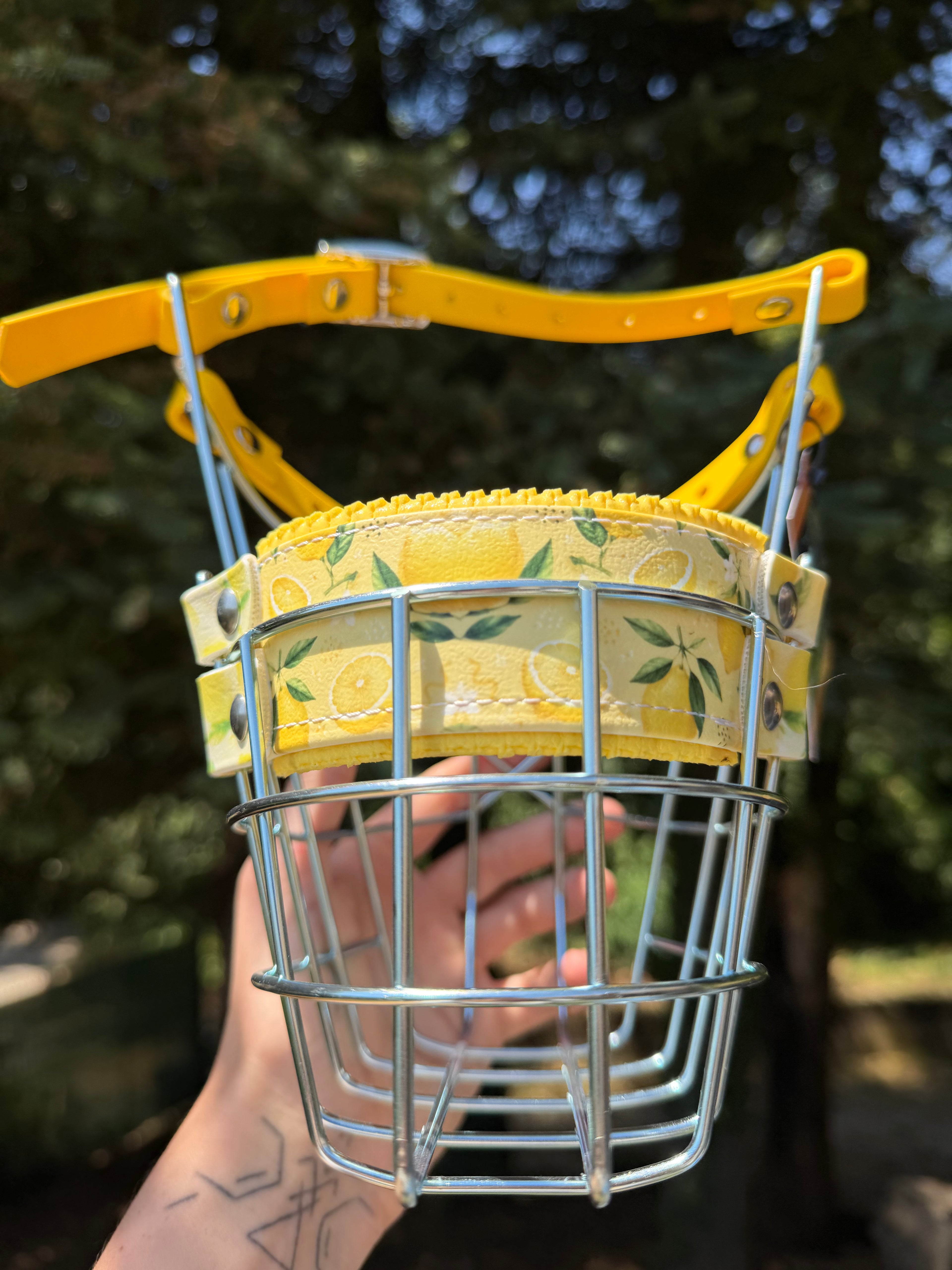 Muselière standard T9 Biothane