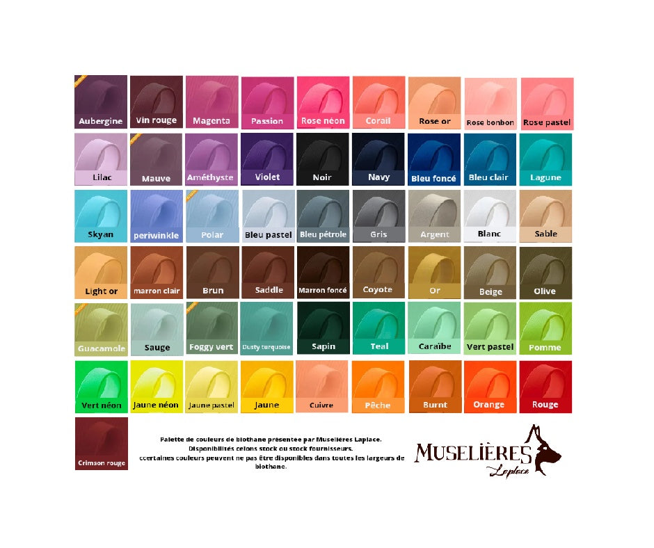 Muselière Premium X Régalys