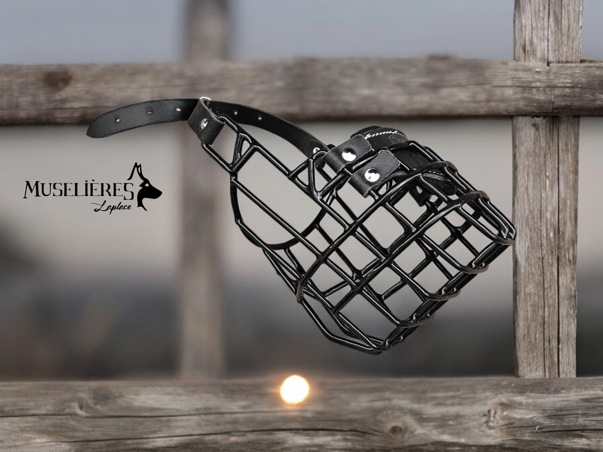 Muselière standard T7 Cuir enduite