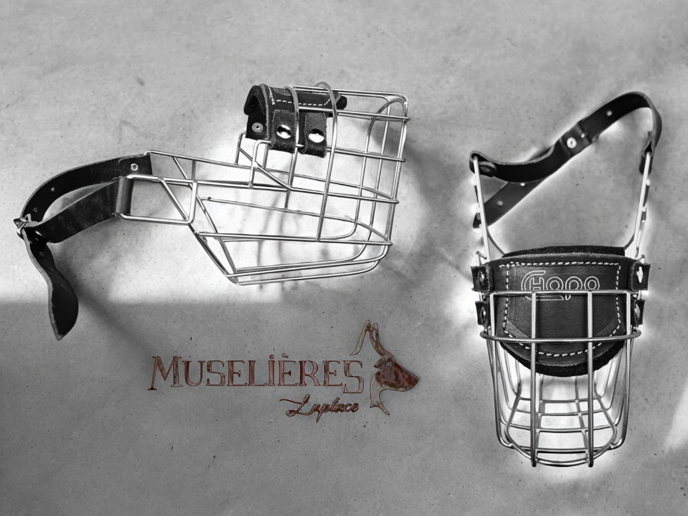 Muselière standard T2 Cuir enduite