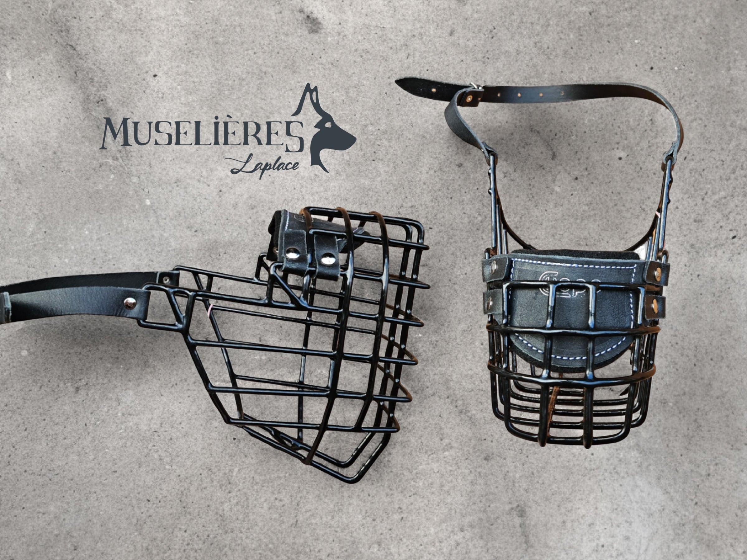 Muselière standard T15 Cuir enduite