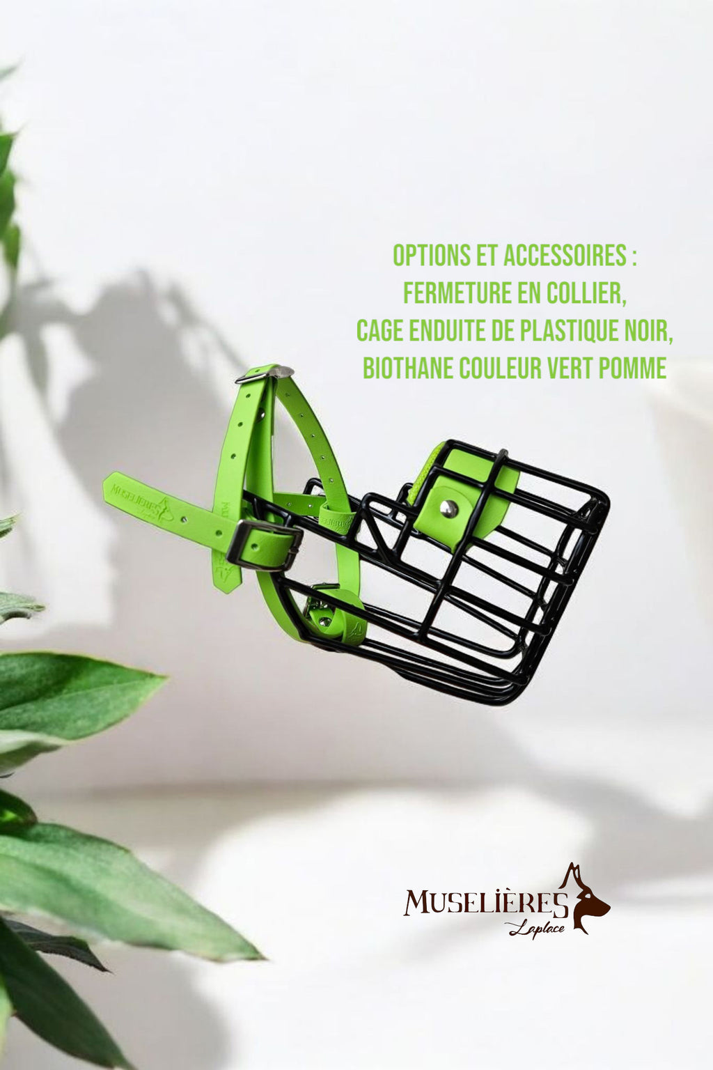 Le forfait muselière !