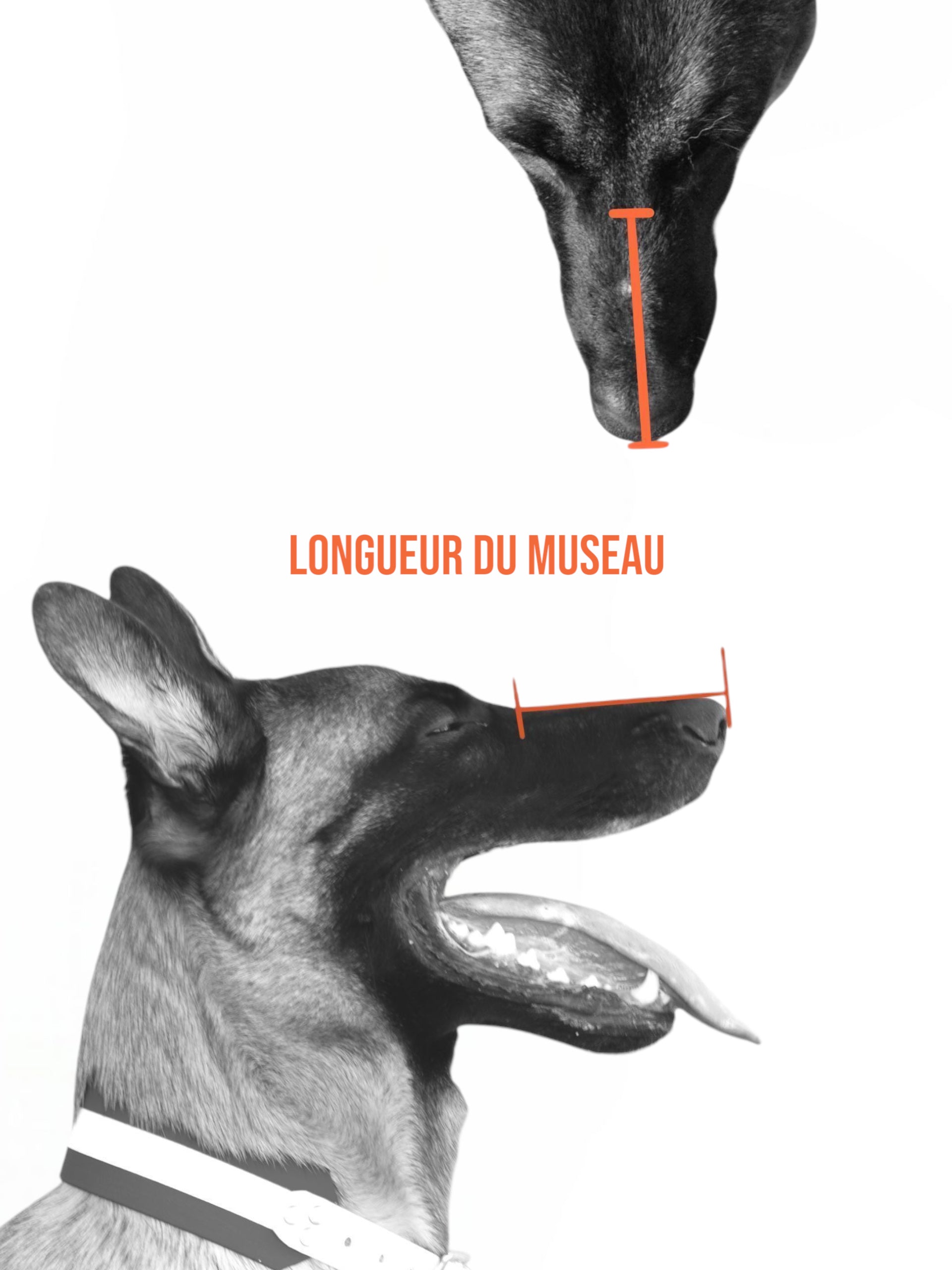 Guides des mesures complet + conseils tailles