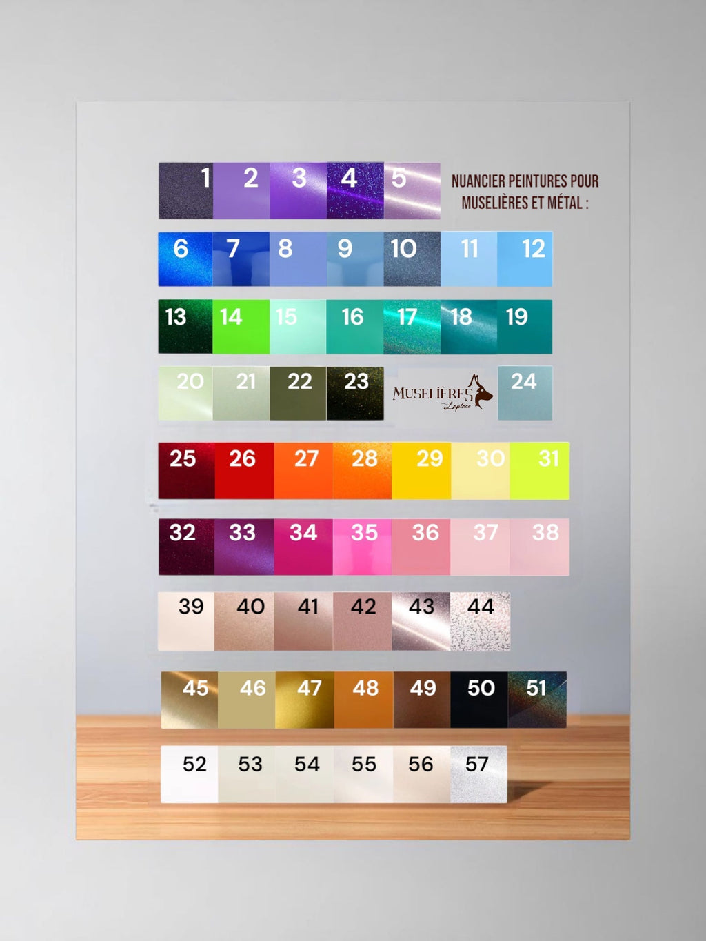 Muselière Premium X Régalys