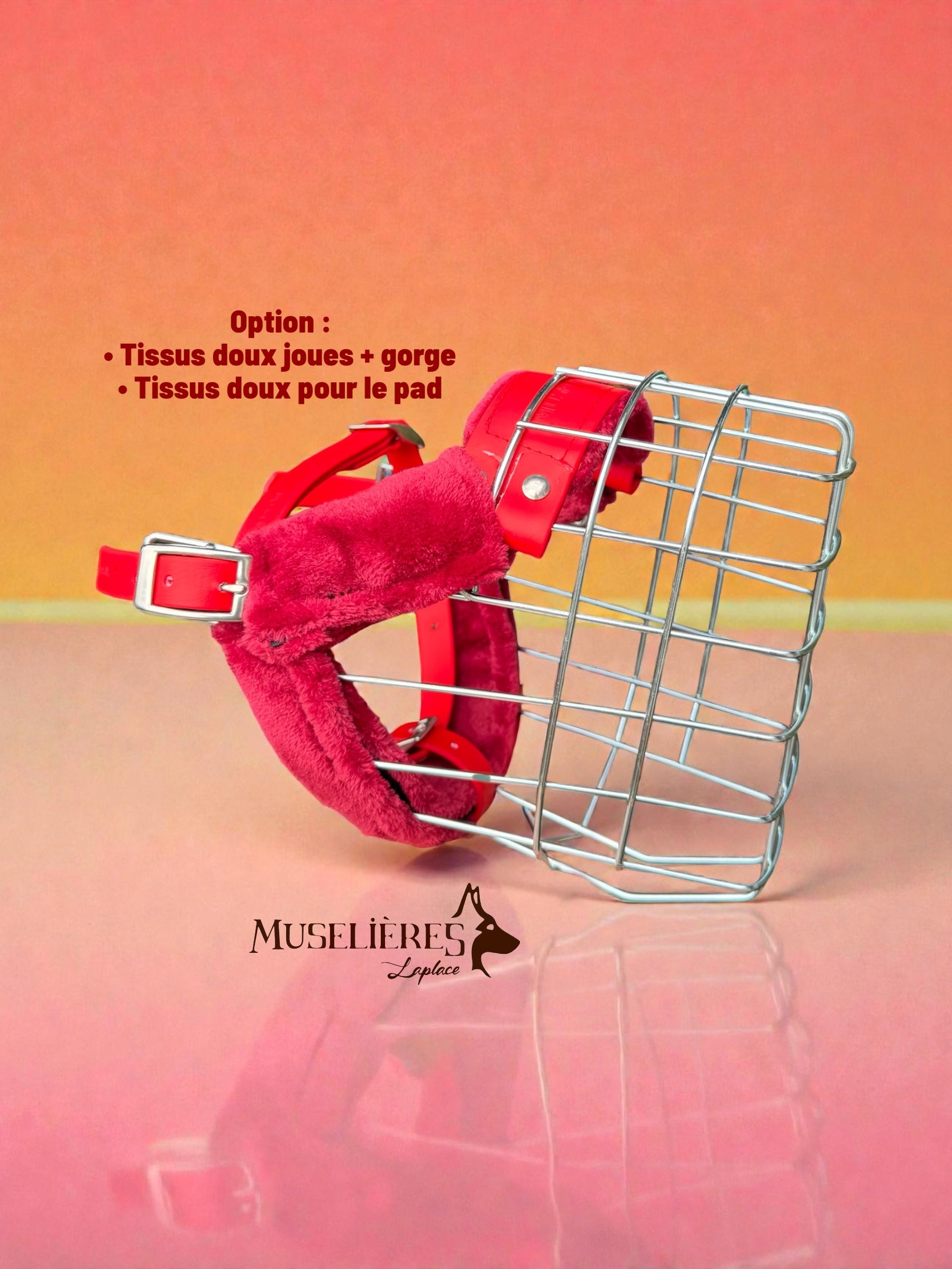 Le Nouveau forfait muselière !