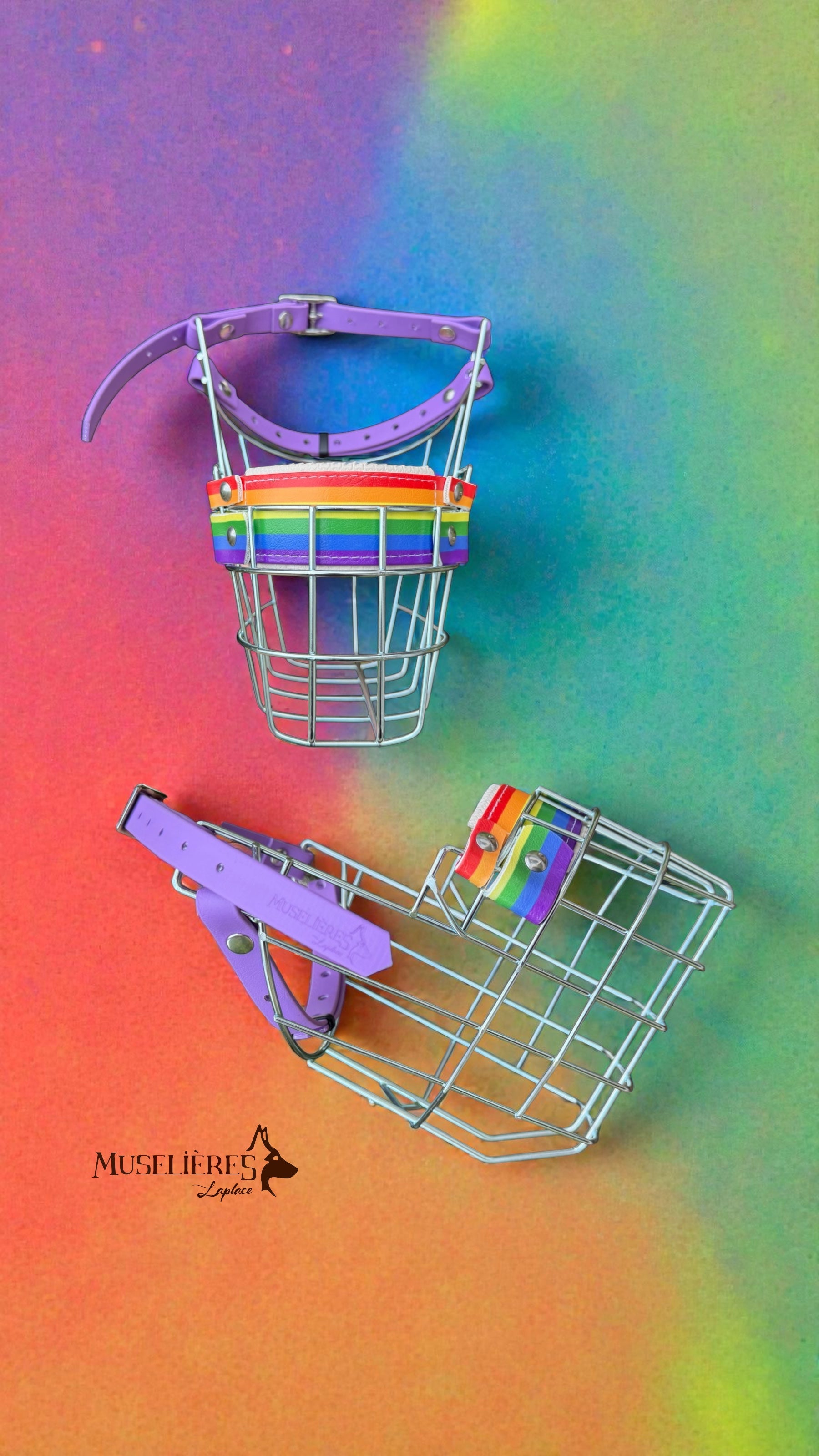 Le forfait muselière Pride !