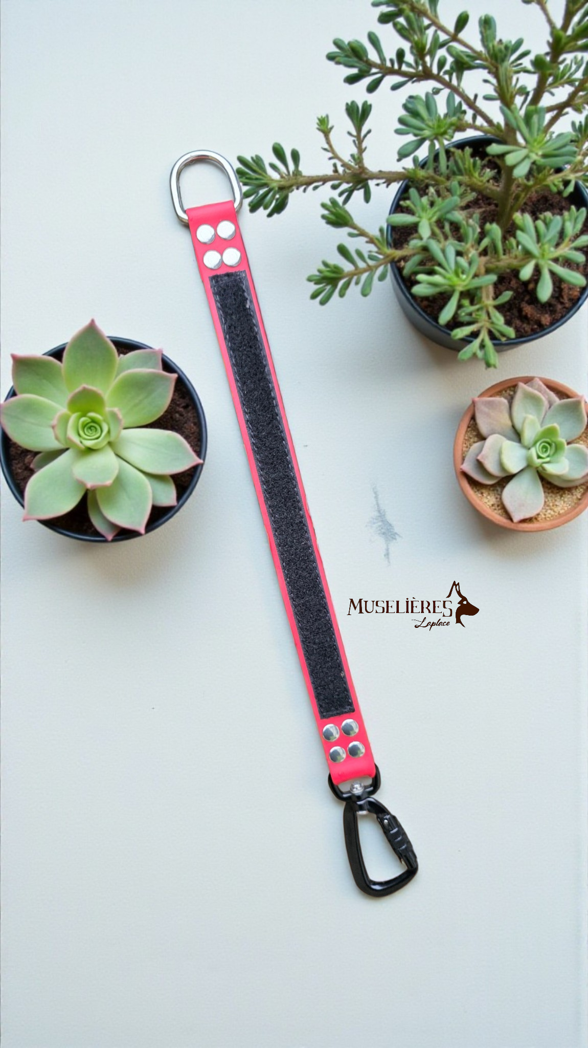 Rallonge de laisse interchangeable 25mm